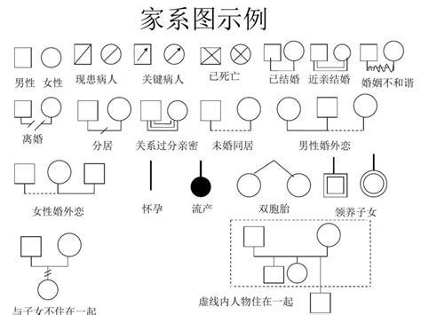 家庭關係分析|家系圖怎麼畫？多種方法來教你！